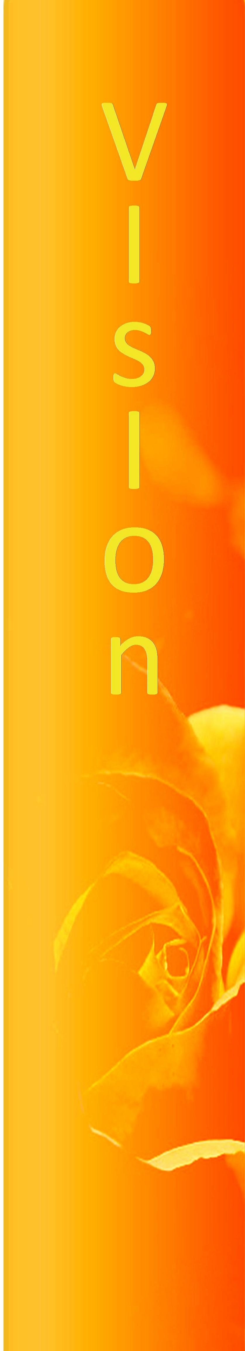 Vision banner